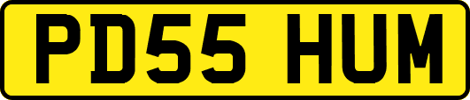PD55HUM