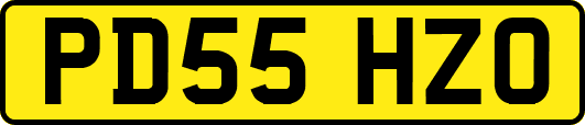 PD55HZO