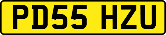 PD55HZU