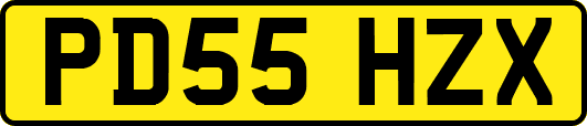 PD55HZX