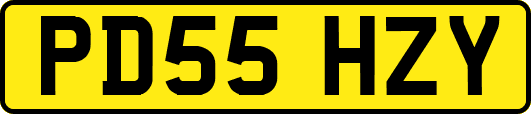PD55HZY