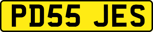 PD55JES