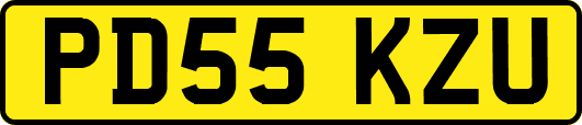 PD55KZU