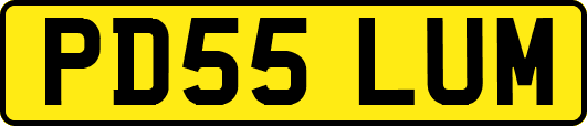 PD55LUM