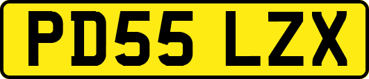PD55LZX