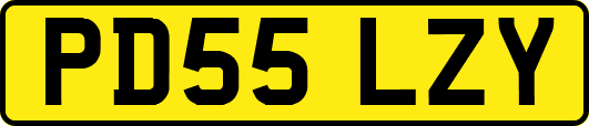 PD55LZY