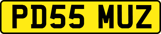PD55MUZ