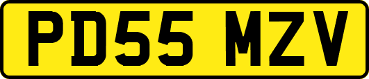 PD55MZV