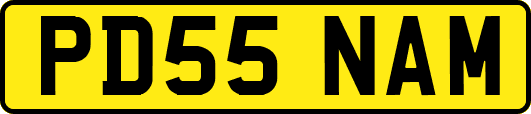 PD55NAM