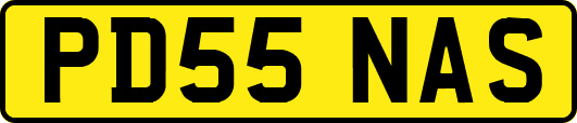 PD55NAS