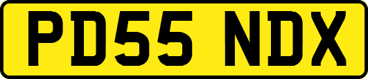 PD55NDX