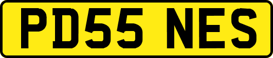PD55NES