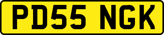 PD55NGK