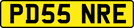 PD55NRE
