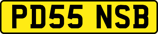 PD55NSB