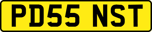 PD55NST