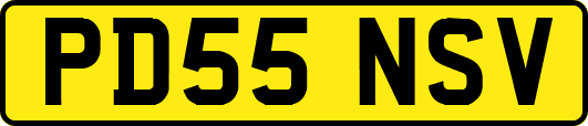PD55NSV