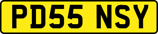 PD55NSY
