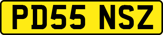 PD55NSZ