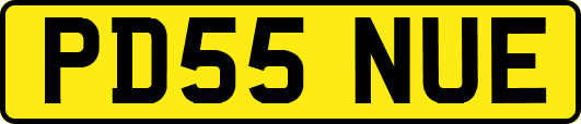 PD55NUE
