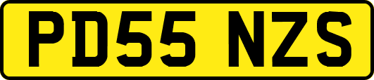 PD55NZS