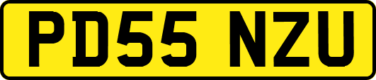 PD55NZU