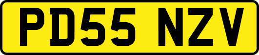 PD55NZV