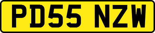 PD55NZW