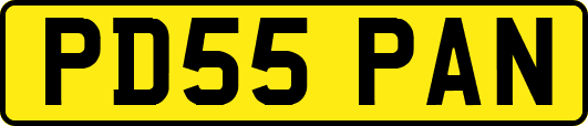 PD55PAN