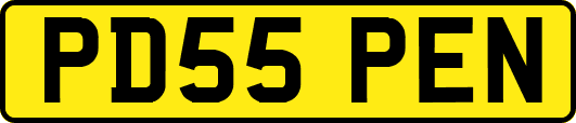 PD55PEN