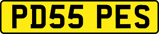 PD55PES