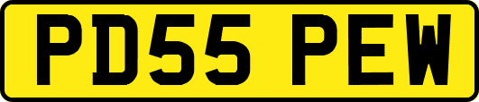 PD55PEW