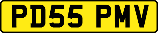 PD55PMV