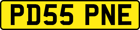 PD55PNE
