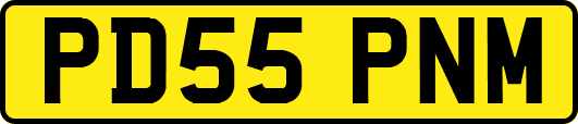 PD55PNM