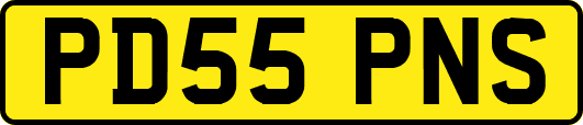 PD55PNS