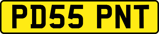 PD55PNT
