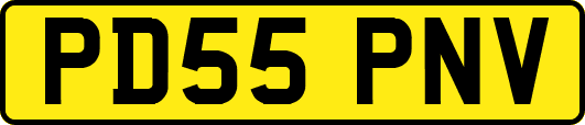 PD55PNV