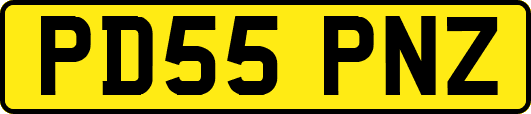 PD55PNZ