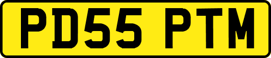 PD55PTM