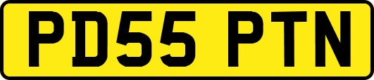 PD55PTN