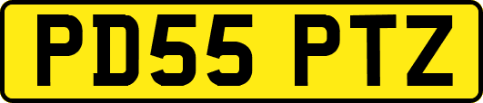 PD55PTZ