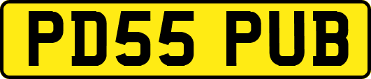 PD55PUB