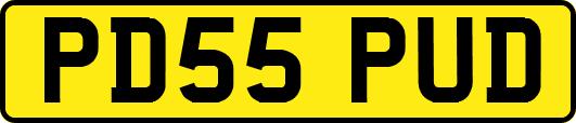 PD55PUD
