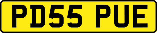 PD55PUE