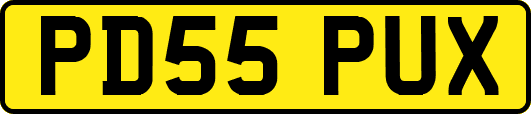 PD55PUX