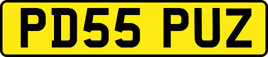 PD55PUZ