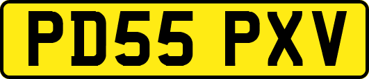 PD55PXV