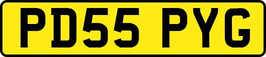 PD55PYG