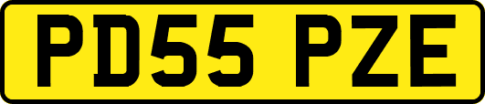 PD55PZE